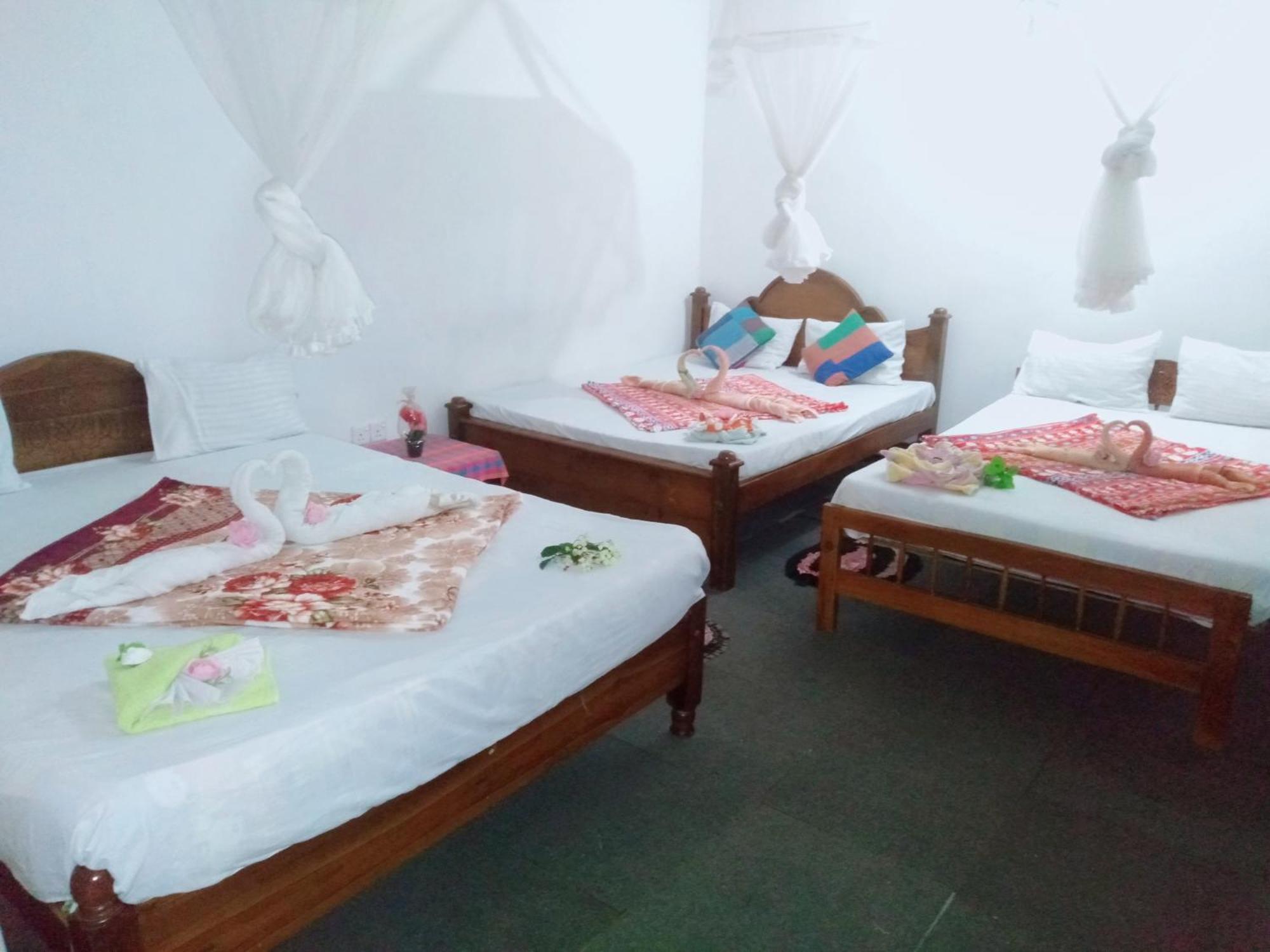 Ella Tea Land View Leilighet Rom bilde